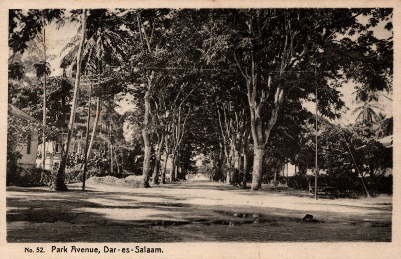 Tanzania Dar-Es-Salaam Park Avenue Vintage Postcard 08.97 