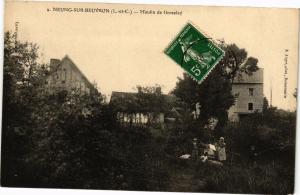 CPA NEUNG-sur-BEUVRON (L.-et-C.) - MOULIN de Groselay (208553)