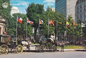 Caleches Horse Drawn Carriage Dominion Square Montreal Quebec Canada