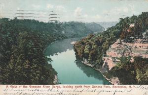 Genesee River North from Seneca Park - Rochester, New York - pm 1906 - UDB