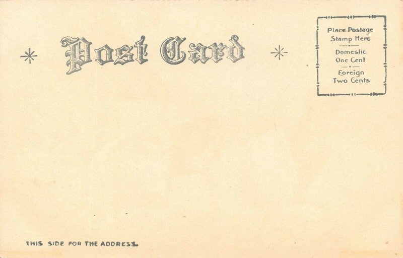 LP19   Easter Postcard Chicks in Eggshells