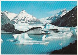 Alaska Portage Glaciers With Drifting Icebergs 1993