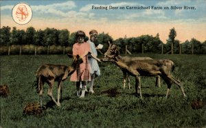 Silver Springs Florida FL Carmichael Farm Kids Feeding Deer c1910 Postcard
