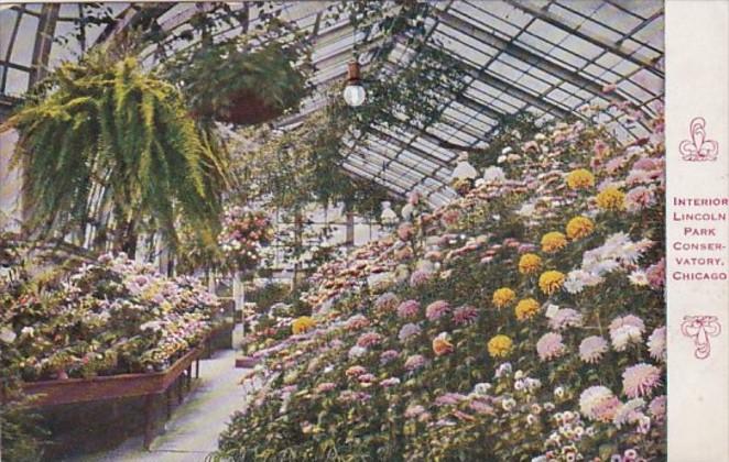 Illinois Chicago Interior Lincoln Park Conservatory 1910