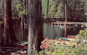 Cypress Gardens Boat landing Charleston, South Carolina  