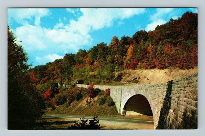 Western NC-North Carolina, Fall View Along Blue Ridge Park, Chrome Postcard