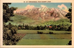 Utah Mount Timpanogos