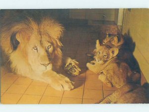 Chrome ZOO SCENE Milwaukee Wisconsin WI AG1643@