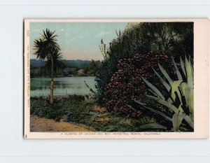 Postcard A Glimpse Of Laguna Del Rey, Hotel Del Monte, Monterey, California