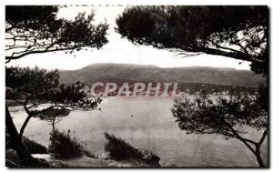 Postcard Modern Lavandou General view