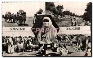 Old Postcard Algeria REMEMBRANCE OF ALGERIA