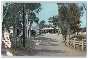 Catalina Island California CA Postcard Entrance To El Rancho Escondido c1950's