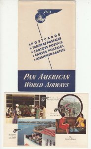 Pan American Airways Commercial aviation transportation advertising PAA parrot