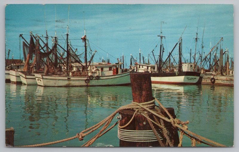 Ship~Shrimp Fleet in Florida Waters~Vintage Postcard 