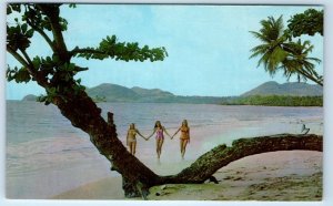 Vigie Beach Baiting Beauties St. Lucia West Indies Postcard