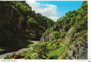 Somerset Postcard - Cheddar Gorge - Ref 1263A