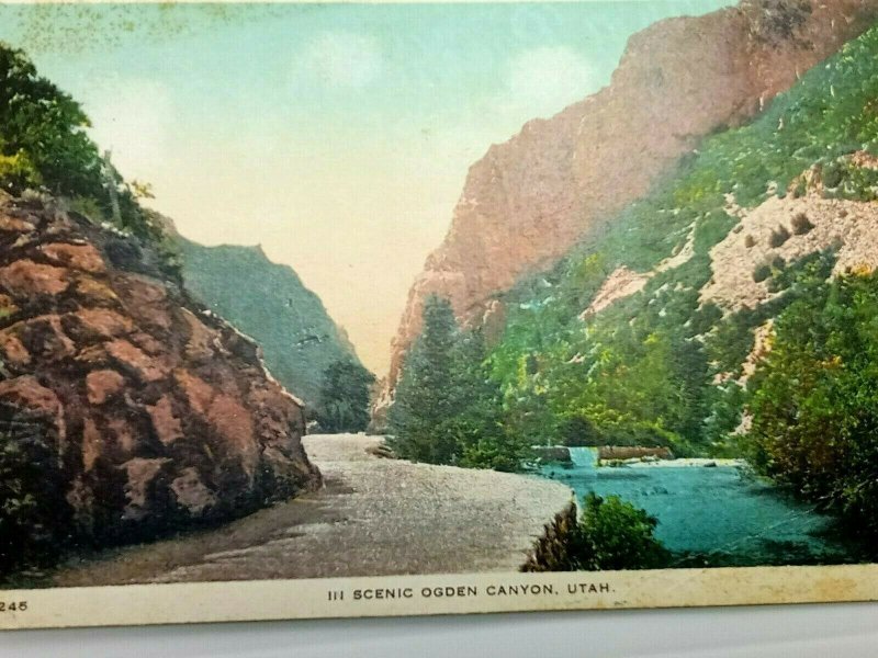 Vintage Postcard 1910's Scenic Ogden Canyon Utah UT