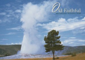 America Postcard - Old Faithful Geyser, Yellowstone National Park RRR243