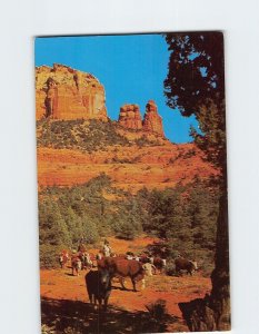Postcard Cattle Country, Oak Creek Canyon, Arizona