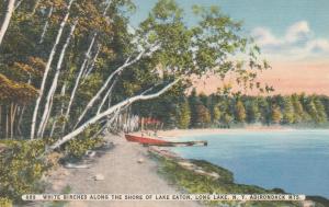 White Birch Trees on Lake Eaton near Long Lake, Adirondacks, New York - Linen