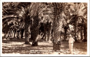 Frashers RPPC One of Shields Date Gardens 119 Varieties in Indio, California