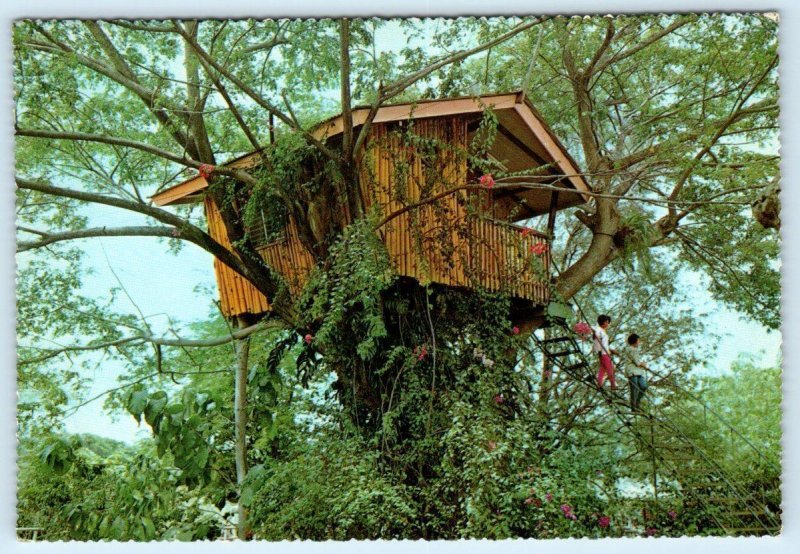 ZAMBOANGA CITY, Philippines ~ TREE HOUSE Pasonanca Park  4x6 Postcard