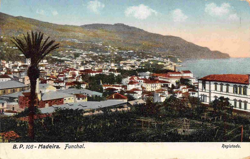 Panorama Funchal Madeira Portugal 1910c postcard