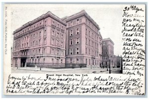 c1905 Mount Sinai Hospital New York NY Franz Huld Antique Posted Postcard 