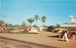 Arizona Phoenix Turista Motel Trailer Court Gas Station 1950s Postcard 22-10592