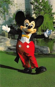 Welcome! Mickey Mouse Disneyland, CA, USA Disney Unused 