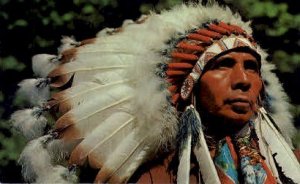 Indian chief Indian Unused 