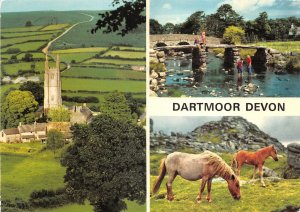 uk46269 dartmoor  devon  uk