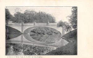 Hyde Park New York Bridge Scenic View Vintage Postcard AA110652