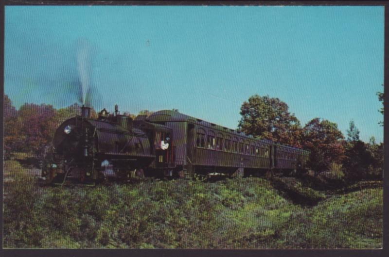 Cadillac & Lake City Railway # 73 Postcard BIN