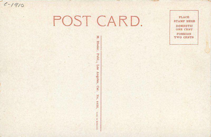 CA Motel Rippe Merced California Postcard - Paper adhesion on back