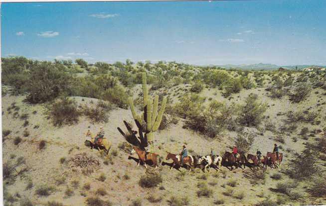 Horseback Riding on Arizona Desert Trails