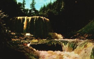 Postcard Black Water Falls Between Davis & Thomas West Virginia Grafton Souvenir