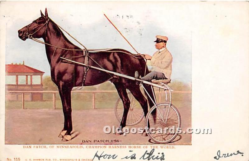 Dan Patch, Champion Harness Horse of the World Minneapolis, MN, USA Horse Rac...