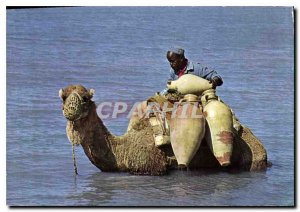 Postcard Modern Djerba This uest by the sea to drink