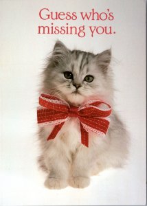 Postcard Cat - Cat with red bow - Guess who's missing you.