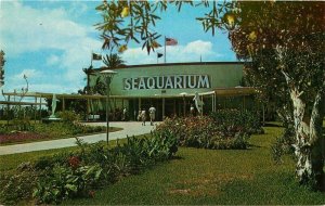 Miami Florida Amusement Main Entrance Seaquarium Koppel Postcard 21-5034