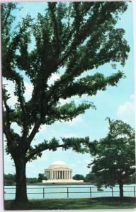 Jefferson Memorial with tree