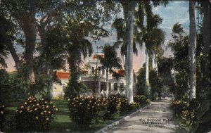 Honolulu HI Colonial Hotel & Bungalows c1920 Postcard