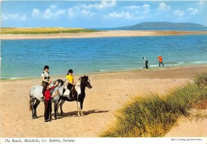 uk51753 the beach malahide dublin ireland horse donkey