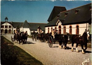 CPM LAMBALLE Haras de Lamballe - Attelages en Tandem (1296245)