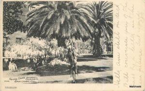 1095 SAN JOSE CALIFORNIA Notre Dame School Garden Rieder postcard 7042