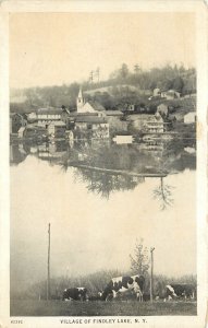 c1920s Postcard; Village of Findlay Lake NY, Dairy Cows Grazing, Chautauqua Co.