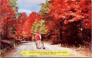 Vtg Greetings from Glidden Iowa IA Hunter with Hunting Dog 1950s Chrome Postcard