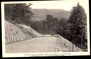 NY PETERSBURG MA WILLIAMSTOWN Taconic Trail Eastern Slope Greylock Mountains DB