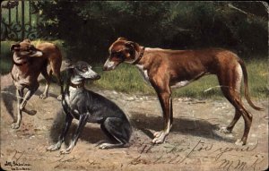 G.A. Novelty Art Greyhound Dogs c1910 Vintage Postcard